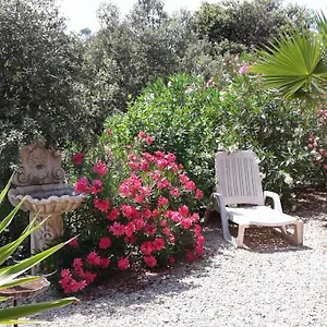 La Foret Pour Décor , Montfort-sur-Argens France